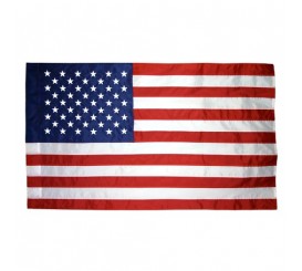50 Star US Flag Parade & Indoor  #261