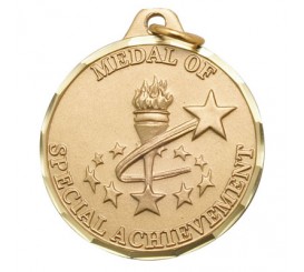 1 1/4 inch Medal of Special Achievement E9985G