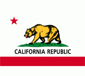 California State Flag Indoor/Parade