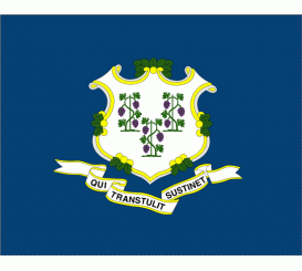 Connecticut State Flag Indoor/Parade