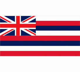 Hawaii State Flag Indoor/Parade