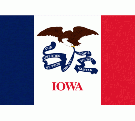 Iowa State Flag Indoor/Parade