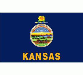 Kansas State Flag Indoor/Parade