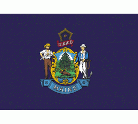 Maine State Flag Outdoor