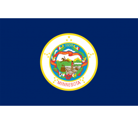 Minnesota State Flag Indoor/Parade