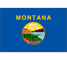 Montana State Flag Indoor/Parade