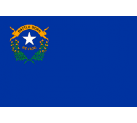 Nevada State Flag Indoor/Parade