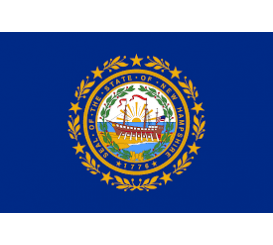 New Hampshire State Flag Indoor/Parade