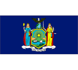 New York State Flag Indoor/Parade