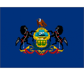 Pennsylvania State Flag Outdoor