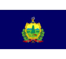 Vermont State Flag Indoor/Parade