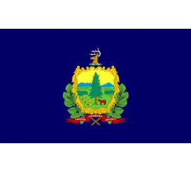Vermont State Flag Indoor/Parade