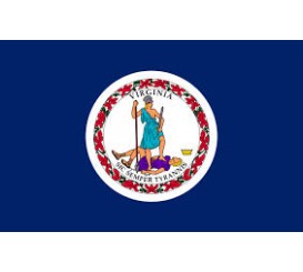 Virginia State Flag Outdoor