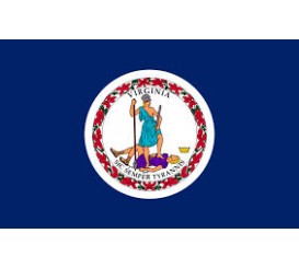 Virginia State Flag Indoor/Parade