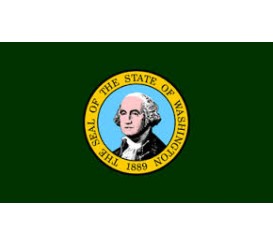 Washington State Flag Outdoor