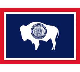 Wyoming State Flag Indoor/Parade 